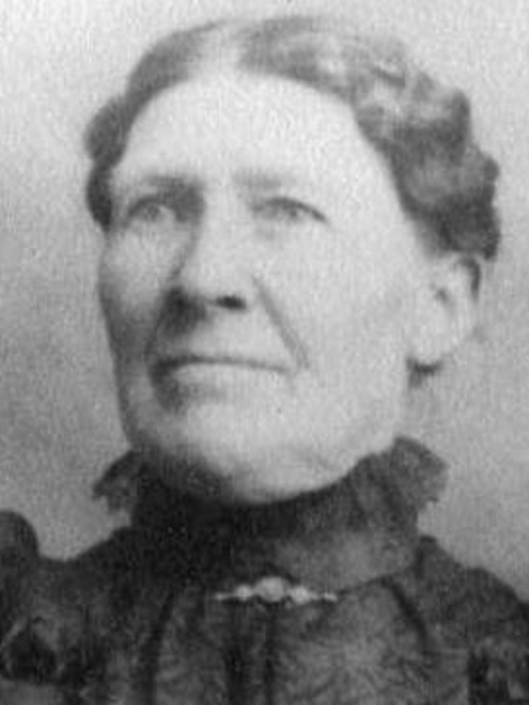 Adeline Lucy Hardy (1846 - 1937) Profile